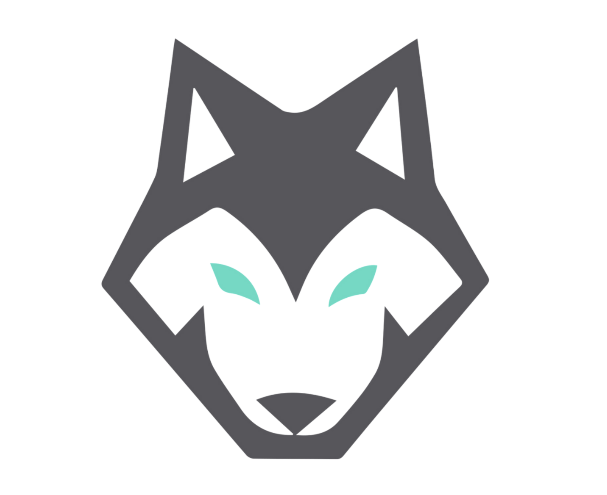 Digital Marketing Consulting